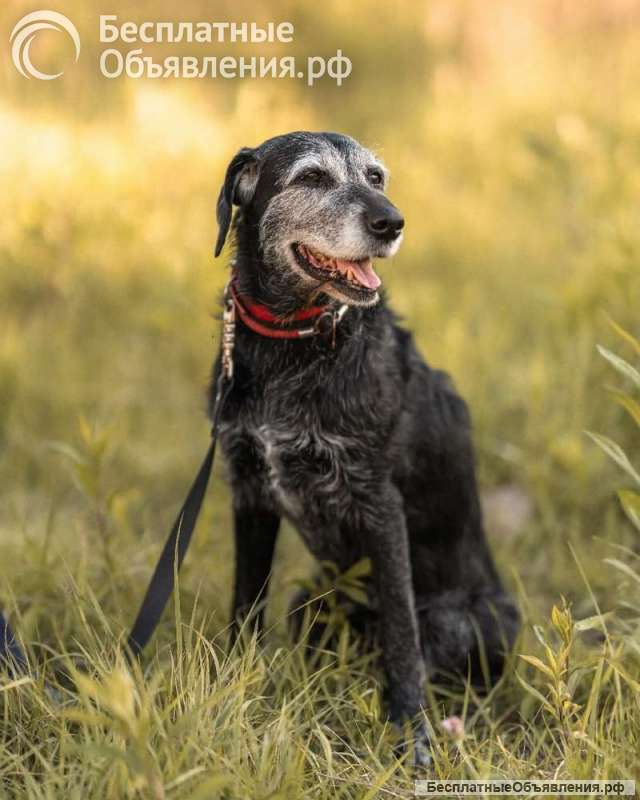 Спокойная мудрая Джулия ищет теплый уголок