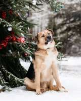 Спокойная мудрая Джулия ищет теплый уголок