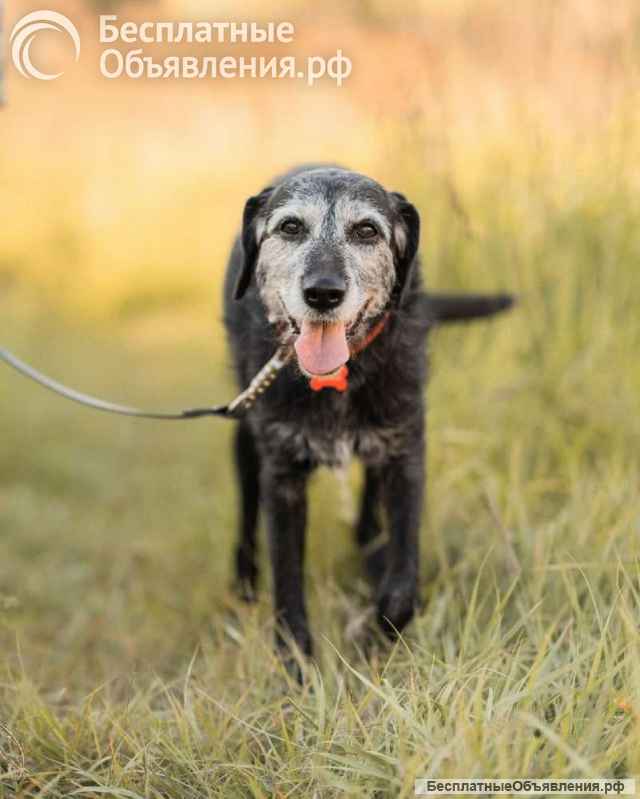 Спокойная мудрая Джулия ищет теплый уголок