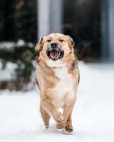 Спокойная мудрая Джулия ищет теплый уголок