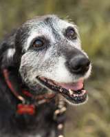 Спокойная мудрая Джулия ищет теплый уголок