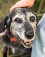 Спокойная мудрая Джулия ищет теплый уголок