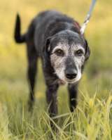 Спокойная мудрая Джулия ищет теплый уголок