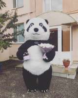 Поздравление от белого мишки, бурого, панды мишки. Ростовые куклы Пенза