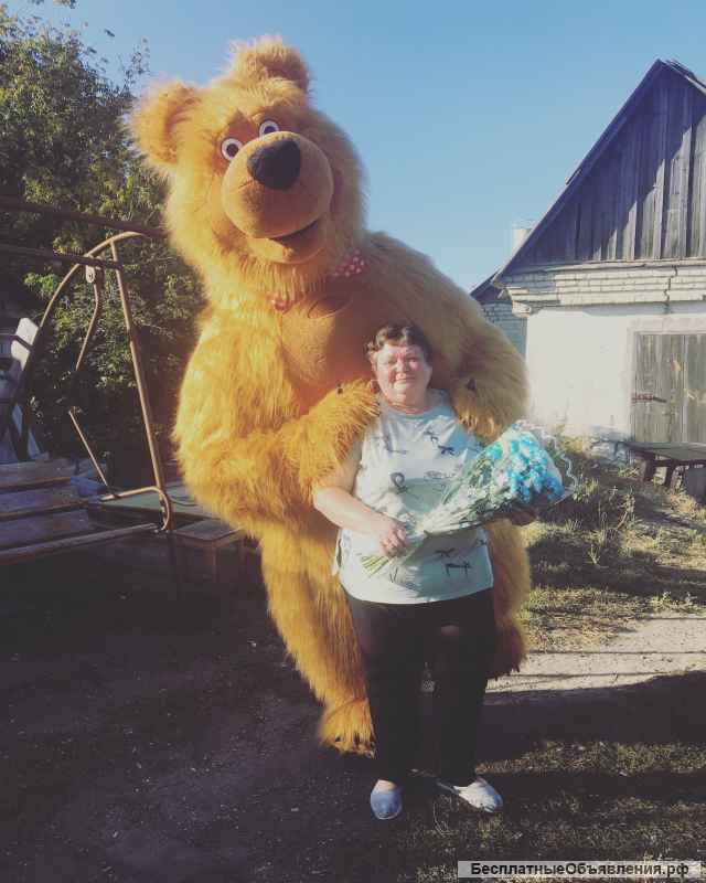 Поздравление от белого мишки, бурого, панды мишки. Ростовые куклы Пенза