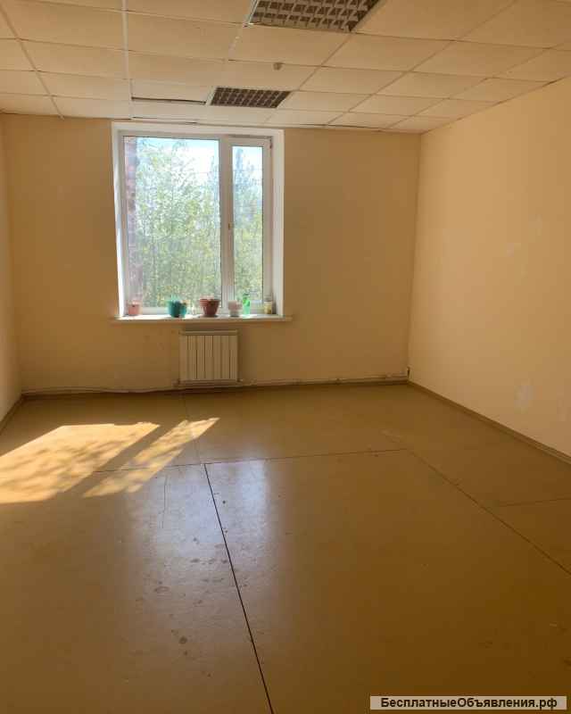 Здание многофункционального назначения