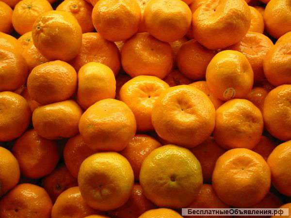 Мандарины оптом первый сорт, из Абхазии