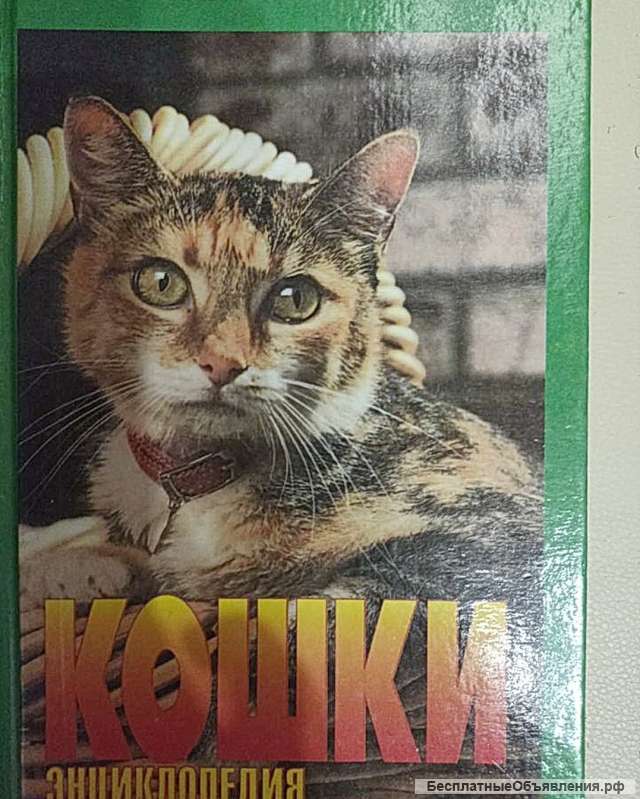 Книга Энциклопедия Кошки. Джино Пуньетти.