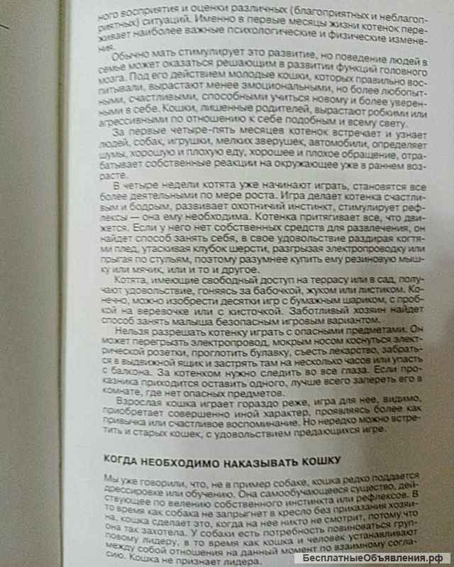 Книга Энциклопедия Кошки. Джино Пуньетти.