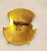 Значок Отличник Здравоохранения