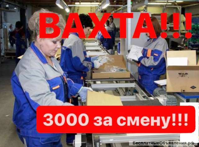 Работа вахтой в Москве с питанием 15/15