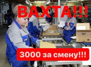 Работа вахтой в Москве с питанием 15/15