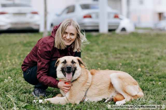 Самый добрый медвежонок Потап ищет дом