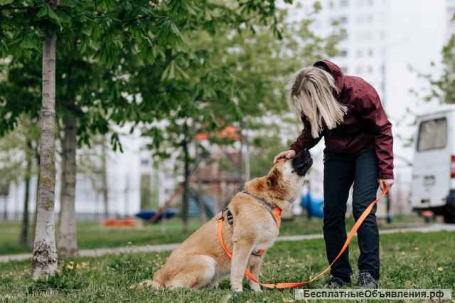 Самый добрый медвежонок Потап ищет дом
