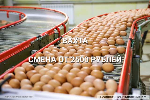 Подсобный рабочий, вахта г.Москва, проживание, питание, смена от 2700 руб.