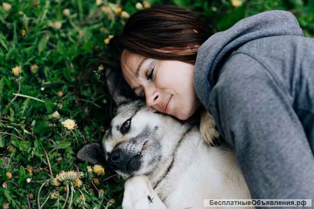 Нежнейшая собака Мира верит, что её заметят