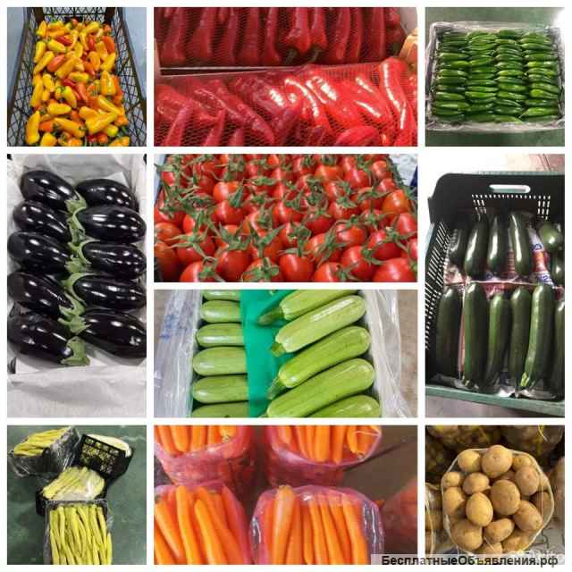 Овощи/ фрукты/ цитрусы/ салаты. Оптом Стамбул-Турция