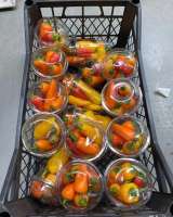 Овощи/ фрукты/ цитрусы/ салаты. Оптом Стамбул-Турция