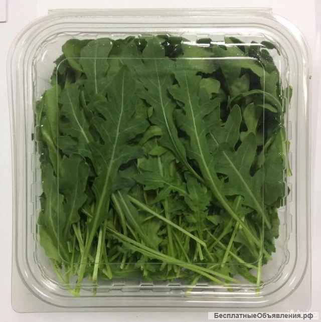 Овощи/ фрукты/ цитрусы/ салаты. Оптом Стамбул-Турция