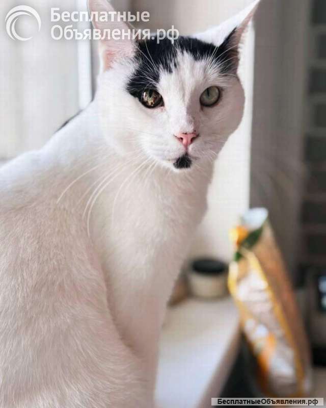 Йогурт не про еду, а про любовь