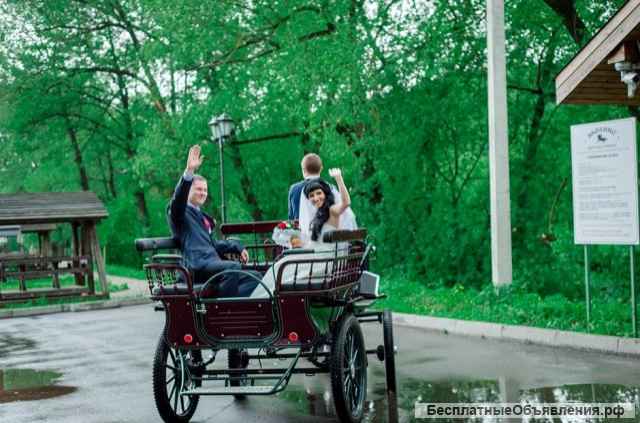 Встречаем Новый 2024 год на природе в Подмосковье