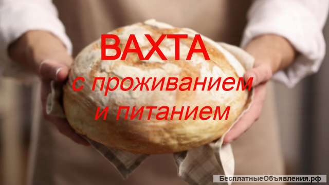 Вахта в Москве с проживанием и питанием