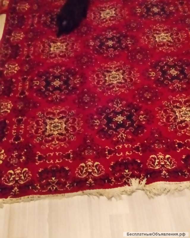 Чистошерстяные ковры