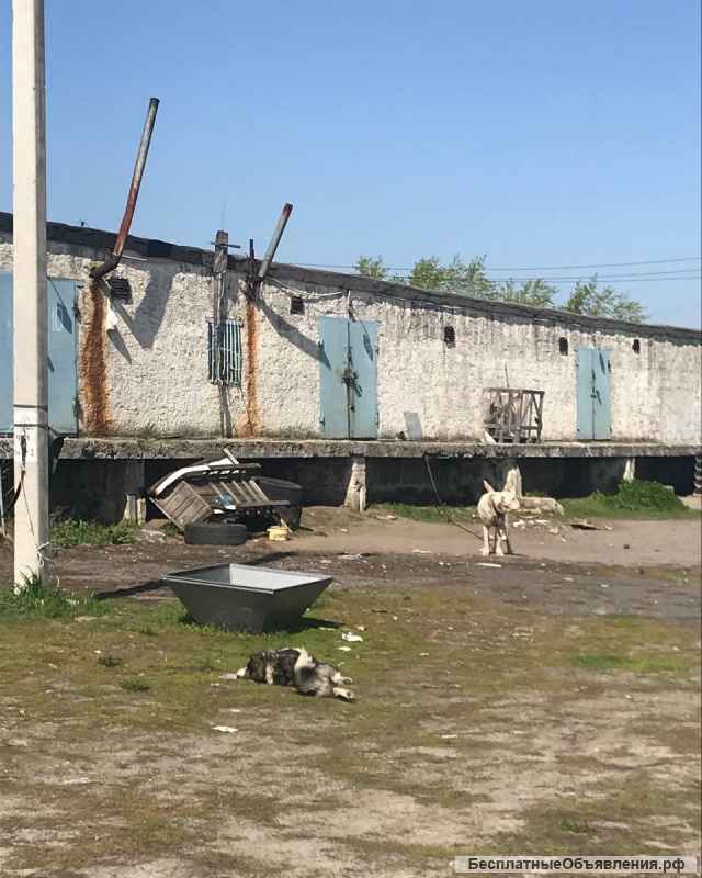 Производственный комплекс 7100 м.кв, Старый Оскол