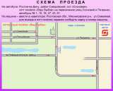 Мускат Саженцы винограда