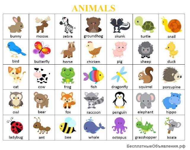 Игра "Найди животное" на английском языке