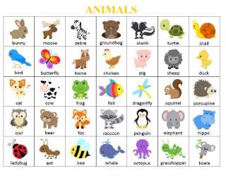 Игра "Найди животное" на английском языке