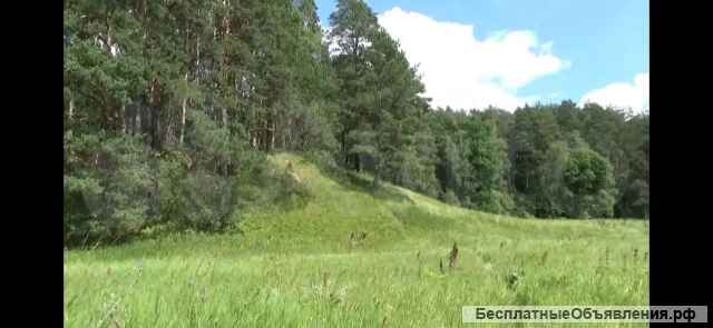 Участок 50 сот. (ИЖС)