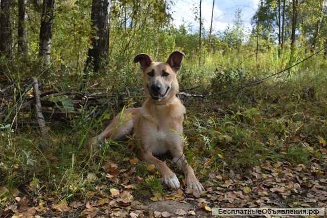Восхитительная Лилит ищет дом