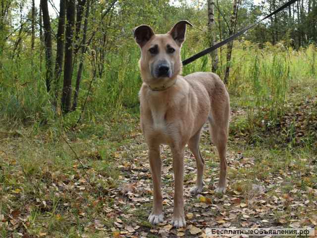 Восхитительная Лилит ищет дом