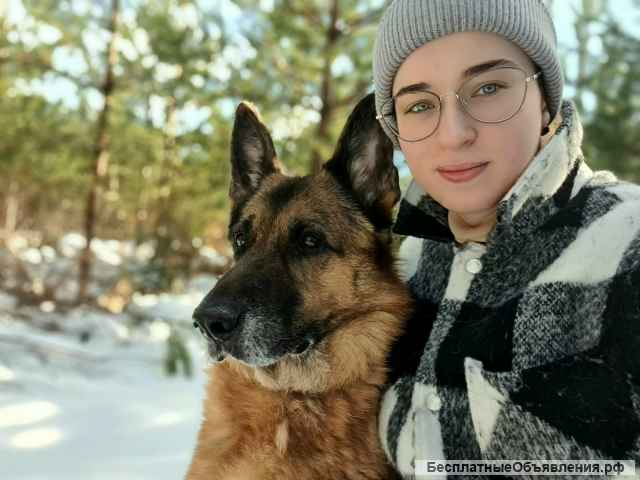 Зооняня четвероногих пушистиков