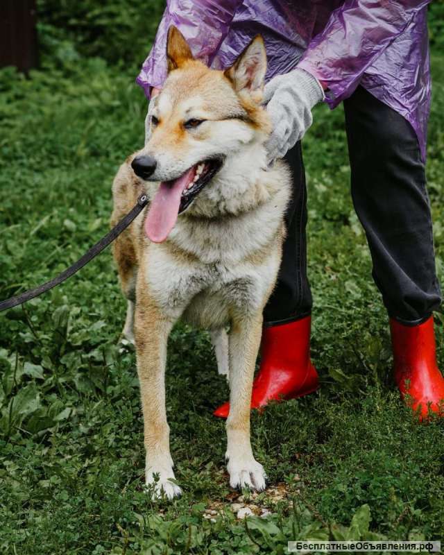 Тайра 2 года, мечатет обрести свой дом