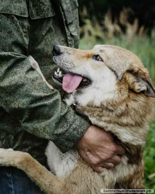 Тайра 2 года, мечатет обрести свой дом