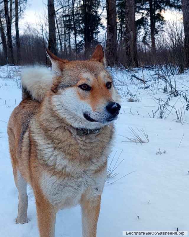 Тайра 2 года, мечатет обрести свой дом