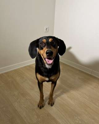 Энергичная веселая Леди