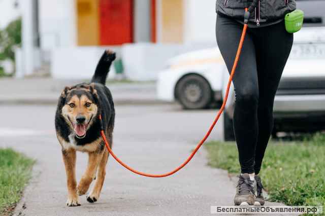 Ищет своего человека оптимист Рождер