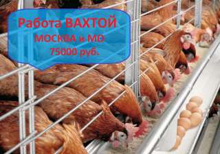 Работа вахтой в Москве. Требуются комплектовшики