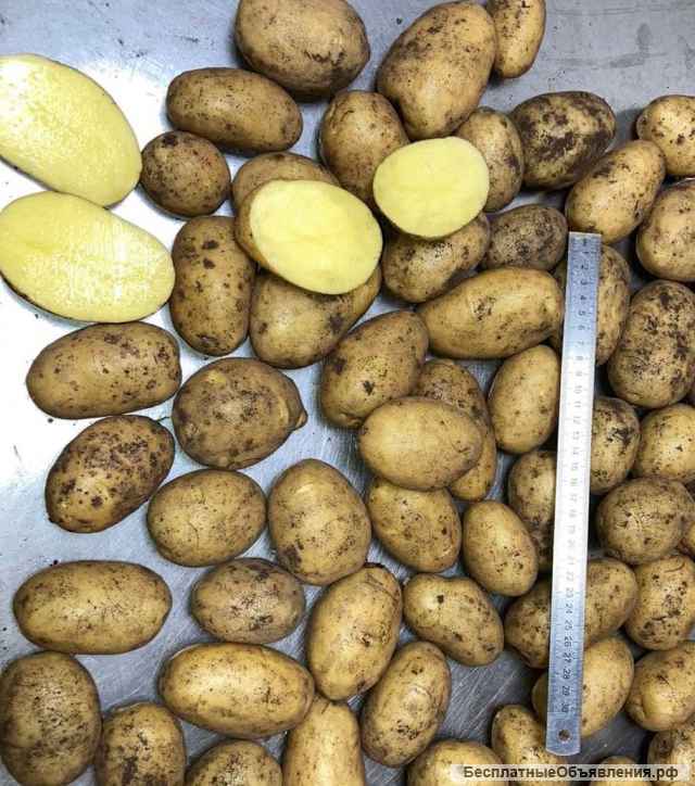 Картофель фри, кубик, слайс, морковь кубик, соломка и свежий картофель, морковь