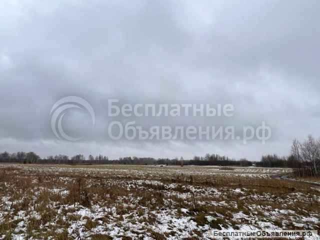 Земельный участок в деревне Петрово 580 соток