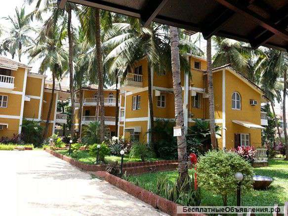 Индия в январе