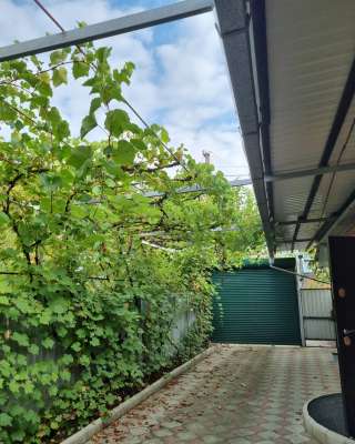 Кирпичный дом на юге