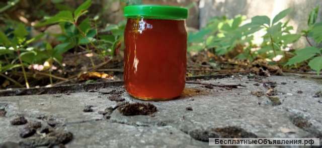 Мед оптом, акация, подсолнечный, разнотравье