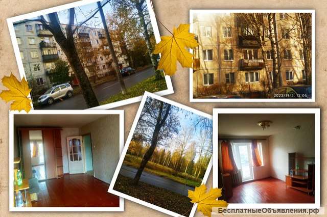 В Гатчине у парка 1кв-32м
