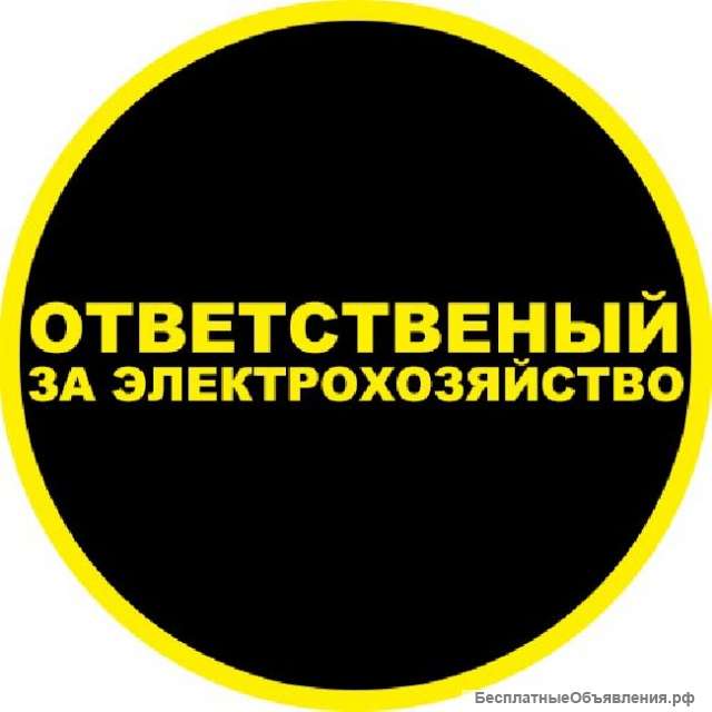 Ответственный за электрохозяйство