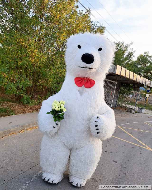 Белый мишка Поздравление