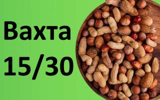 Упаковщик орехов Вахта 15/30 В МОСКВЕ С ПРОЖИВАНИЕМ